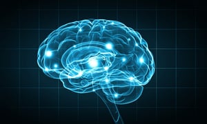 Concept of human intelligence with human brain on blue background